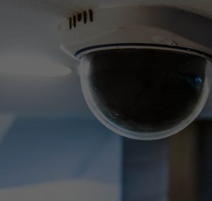 IP surveillance cameras